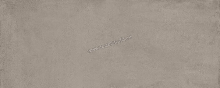  Ragno Replace Tortora 60x120 cm Vloertegel / Wandtegel Mat Vlak Naturale R48N | 393955