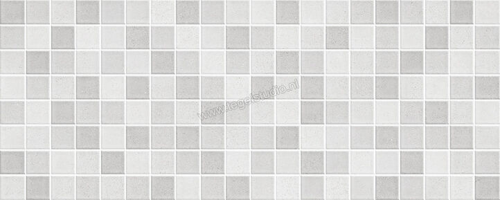  Ragno Replace Grigio 20x50 cm Mozaiek Mat Vlak Naturale R3RA | 393964