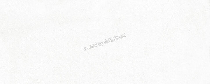  Ragno Replace Bianco 20x50 cm Wandtegel Glanzend Vlak Naturale R3QN | 394000