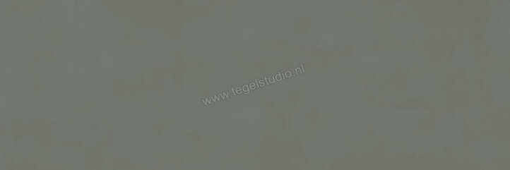  Ragno Resina Ardesia 40x120 cm Wandtegel Mat Vlak Naturale R79X | 394159