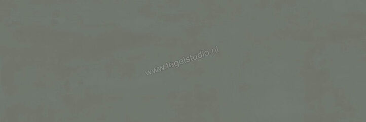  Ragno Resina Ardesia 40x120 cm Wandtegel Mat Vlak Naturale R79X | 394162