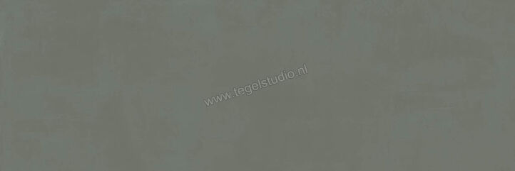  Ragno Resina Ardesia 40x120 cm Wandtegel Mat Vlak Naturale R79X | 394165