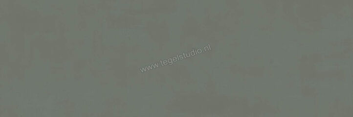  Ragno Resina Ardesia 40x120 cm Wandtegel Mat Vlak Naturale R79X | 394168
