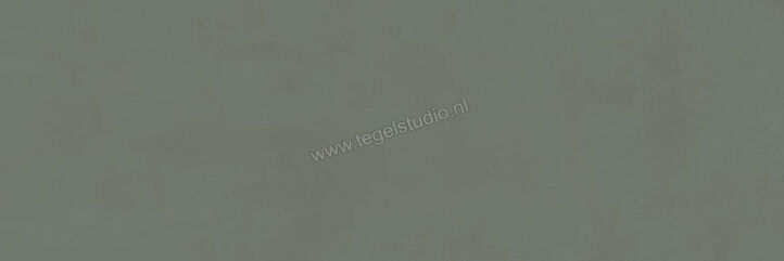  Ragno Resina Ardesia 40x120 cm Wandtegel Mat Vlak Naturale R79X | 394171
