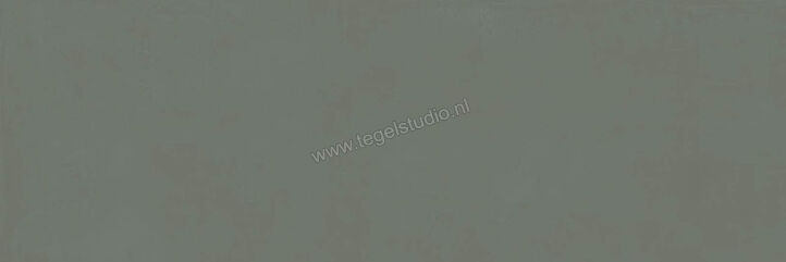  Ragno Resina Ardesia 40x120 cm Wandtegel Mat Vlak Naturale R79X | 394174