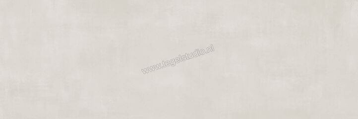  Ragno Resina Grigio 40x120 cm Wandtegel Mat Vlak Naturale R79V | 394198