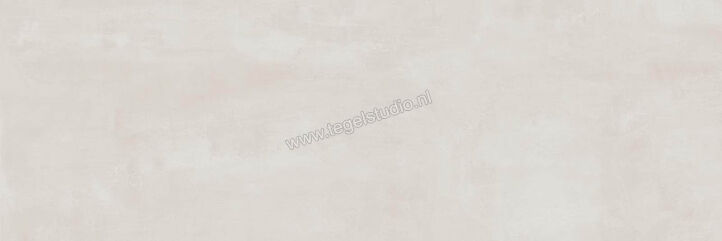  Ragno Resina Grigio 40x120 cm Wandtegel Mat Vlak Naturale R79V | 394201