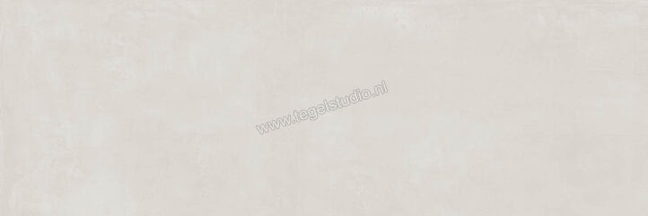  Ragno Resina Grigio 40x120 cm Wandtegel Mat Vlak Naturale R79V | 394213
