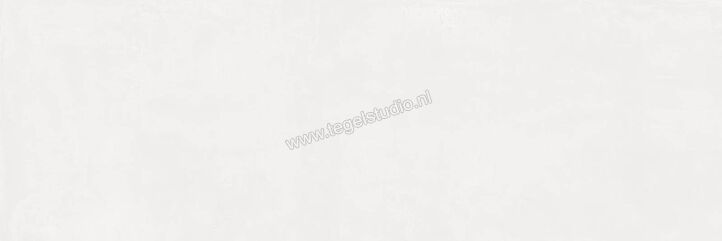  Ragno Resina Bianco 40x120 cm Wandtegel Mat Vlak Naturale R79U | 394231