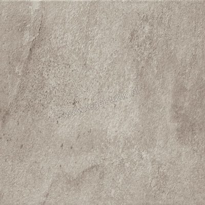  Ragno Stoneway_Barge Antica Grigio 60x60 cm Vloertegel / Wandtegel Mat Gestructureerd Naturale R3NX | 395977