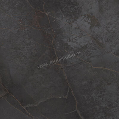  Topcollection On Stage Adelphi 120x120 cm Vloertegel / Wandtegel Mat Vlak Naturale 0133032 | 396258