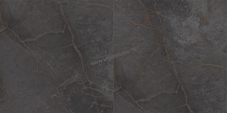  Topcollection On Stage Adelphi 120x120 cm Vloertegel / Wandtegel Mat Vlak Naturale 0133032 | 396273