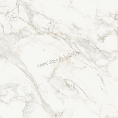  Topcollection On Stage Boulevard 120x120 cm Vloertegel / Wandtegel Mat Vlak Naturale 0133034 | 396312