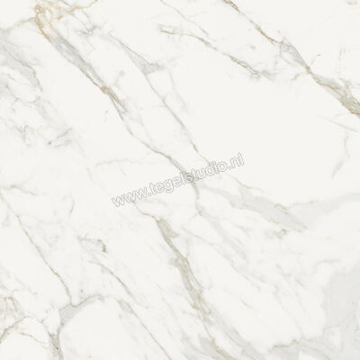  Topcollection On Stage Boulevard 120x120 cm Vloertegel / Wandtegel Mat Vlak Naturale 0133034 | 396315
