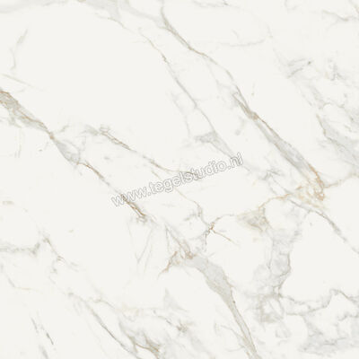  Topcollection On Stage Boulevard 120x120 cm Vloertegel / Wandtegel Mat Vlak Naturale 0133034 | 396318