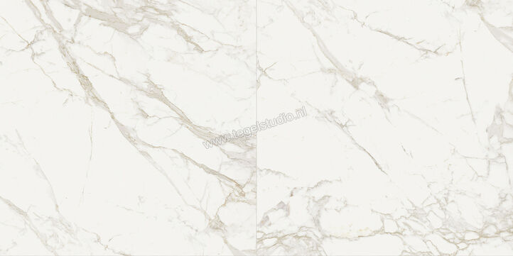  Topcollection On Stage Boulevard 120x120 cm Vloertegel / Wandtegel Mat Vlak Naturale 0133034 | 396321