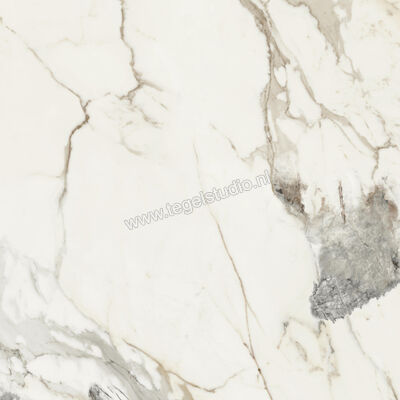  Monocibec On Stage Victoria 120x120 cm Vloertegel / Wandtegel Glanzend Vlak Molata 0133035 | 396324