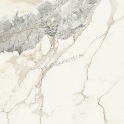  Monocibec On Stage Victoria 120x120 cm Vloertegel / Wandtegel Glanzend Vlak Molata 0133035 | 396327