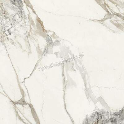  Monocibec On Stage Victoria 120x120 cm Vloertegel / Wandtegel Glanzend Vlak Molata 0133035 | 396330