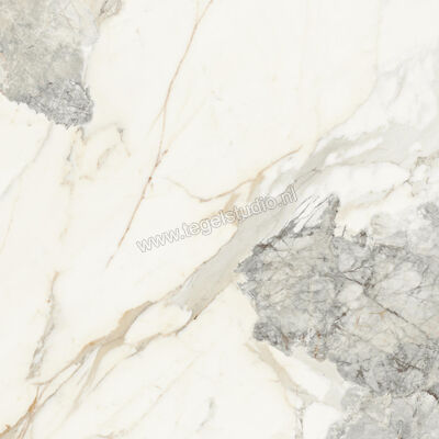  Monocibec On Stage Victoria 120x120 cm Vloertegel / Wandtegel Glanzend Vlak Molata 0133035 | 396333