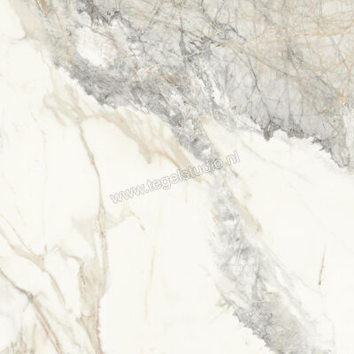  Monocibec On Stage Victoria 120x120 cm Vloertegel / Wandtegel Glanzend Vlak Molata 0133035 | 396336