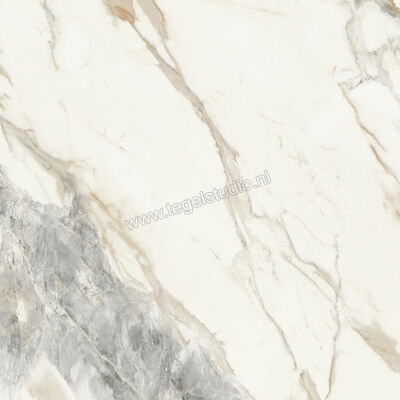  Monocibec On Stage Victoria 120x120 cm Vloertegel / Wandtegel Glanzend Vlak Molata 0133035 | 396339