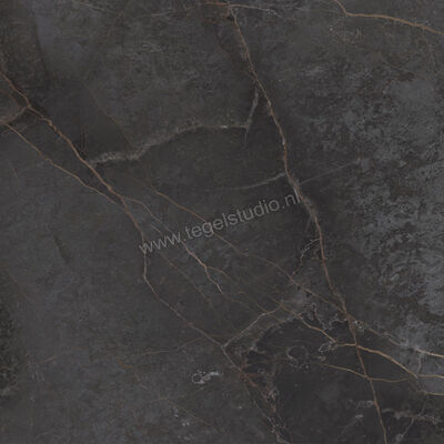  Topcollection On Stage Adelphi 120x120 cm Vloertegel / Wandtegel Glanzend Vlak Molata 0133039 | 396372