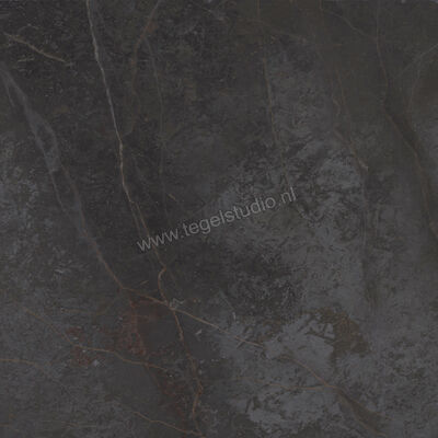  Topcollection On Stage Adelphi 120x120 cm Vloertegel / Wandtegel Glanzend Vlak Molata 0133039 | 396378