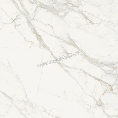  Topcollection On Stage Boulevard 120x120 cm Vloertegel / Wandtegel Glanzend Vlak Molata 0133041 | 396414