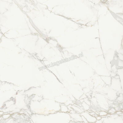  Topcollection On Stage Boulevard 120x120 cm Vloertegel / Wandtegel Glanzend Vlak Molata 0133041 | 396417