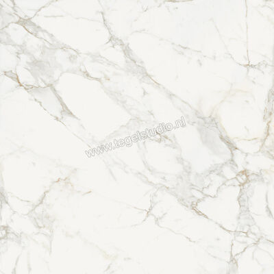  Topcollection On Stage Boulevard 120x120 cm Vloertegel / Wandtegel Glanzend Vlak Molata 0133041 | 396420
