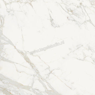  Topcollection On Stage Boulevard 120x120 cm Vloertegel / Wandtegel Glanzend Vlak Molata 0133041 | 396423