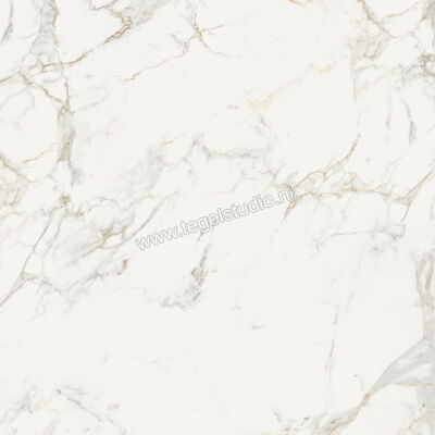  Topcollection On Stage Boulevard 120x120 cm Vloertegel / Wandtegel Glanzend Vlak Molata 0133041 | 396426