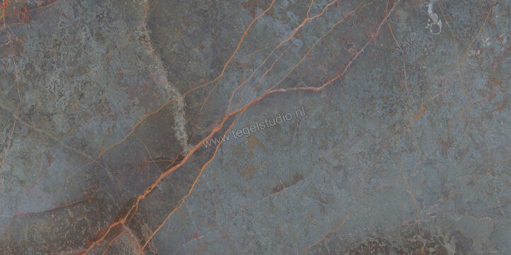  Topcollection On Stage Fortune 60x120 cm Vloertegel / Wandtegel Mat Vlak Naturale 0133318 | 396519