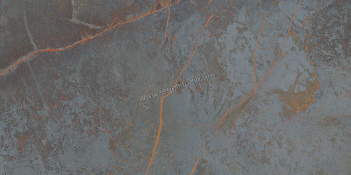 Topcollection On Stage Fortune 60x120 cm Vloertegel / Wandtegel Mat Vlak Naturale 0133318 | 396522