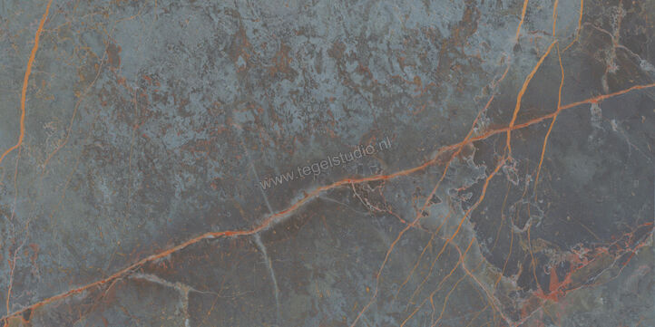  Topcollection On Stage Fortune 60x120 cm Vloertegel / Wandtegel Mat Vlak Naturale 0133318 | 396537