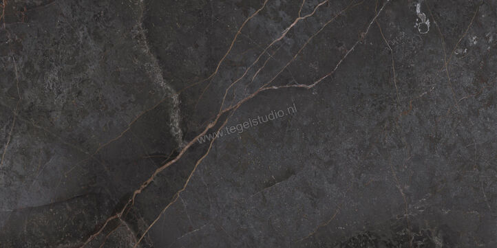 Topcollection On Stage Adelphi 60x120 cm Vloertegel / Wandtegel Mat Vlak Naturale 0133319 | 396540