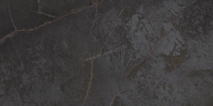  Topcollection On Stage Adelphi 60x120 cm Vloertegel / Wandtegel Mat Vlak Naturale 0133319 | 396543