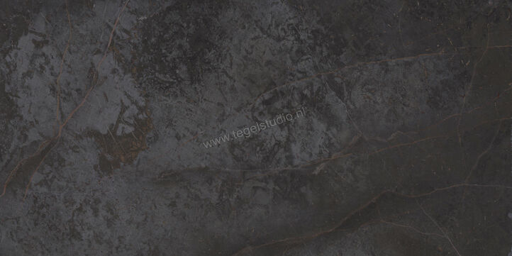  Topcollection On Stage Adelphi 60x120 cm Vloertegel / Wandtegel Mat Vlak Naturale 0133319 | 396546