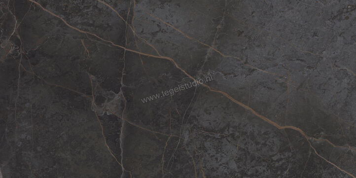  Topcollection On Stage Adelphi 60x120 cm Vloertegel / Wandtegel Mat Vlak Naturale 0133319 | 396549