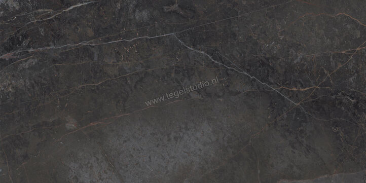  Topcollection On Stage Adelphi 60x120 cm Vloertegel / Wandtegel Mat Vlak Naturale 0133319 | 396552