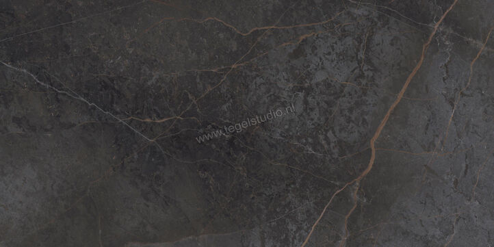  Topcollection On Stage Adelphi 60x120 cm Vloertegel / Wandtegel Mat Vlak Naturale 0133319 | 396555