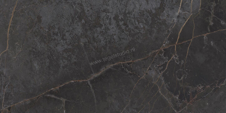 Topcollection On Stage Adelphi 60x120 cm Vloertegel / Wandtegel Mat Vlak Naturale 0133319 | 396558