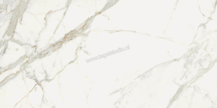  Topcollection On Stage Boulevard 60x120 cm Vloertegel / Wandtegel Mat Vlak Naturale 0133321 | 396564