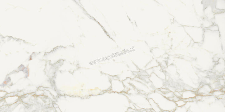  Topcollection On Stage Boulevard 60x120 cm Vloertegel / Wandtegel Mat Vlak Naturale 0133321 | 396567