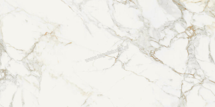  Topcollection On Stage Boulevard 60x120 cm Vloertegel / Wandtegel Mat Vlak Naturale 0133321 | 396570