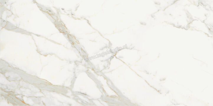  Topcollection On Stage Boulevard 60x120 cm Vloertegel / Wandtegel Mat Vlak Naturale 0133321 | 396573