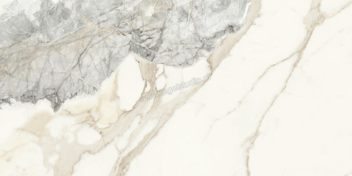  Monocibec On Stage Victoria 60x120 cm Vloertegel / Wandtegel Glanzend Vlak Molata 0133323 | 396618