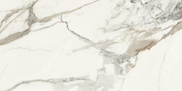  Monocibec On Stage Victoria 60x120 cm Vloertegel / Wandtegel Glanzend Vlak Molata 0133323 | 396621