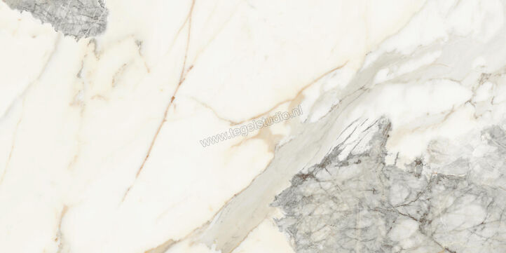  Monocibec On Stage Victoria 60x120 cm Vloertegel / Wandtegel Glanzend Vlak Molata 0133323 | 396624